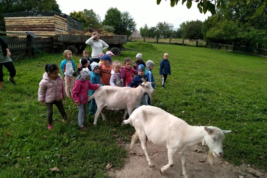 Výlet na Kozí farmu 1