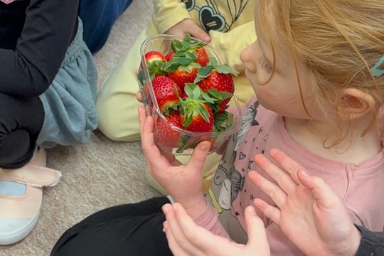 Ovoce a naše smysly  1