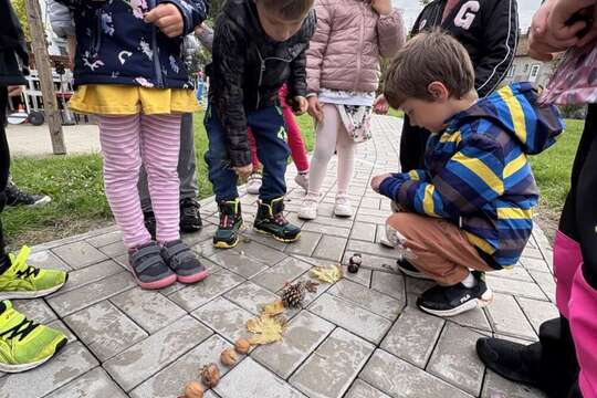 Domino z přírodnin ???????????? 1