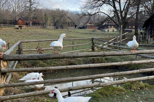 Vánoce na dědině Vánoce na dědině 1