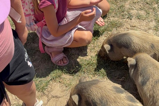 Za zvířátky a sluníčkem Za zvířátky a sluníčkem 1