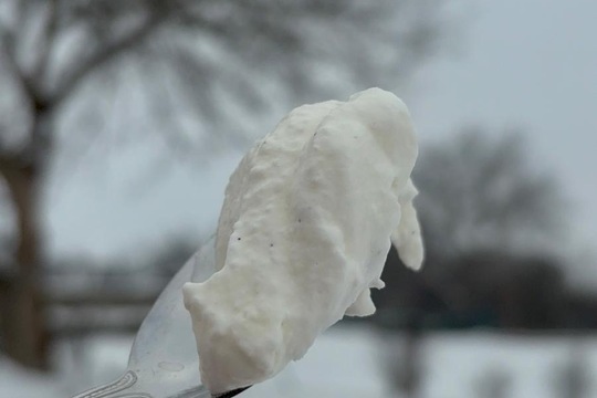 Sníh+ mráz + my = zmrzlina  1