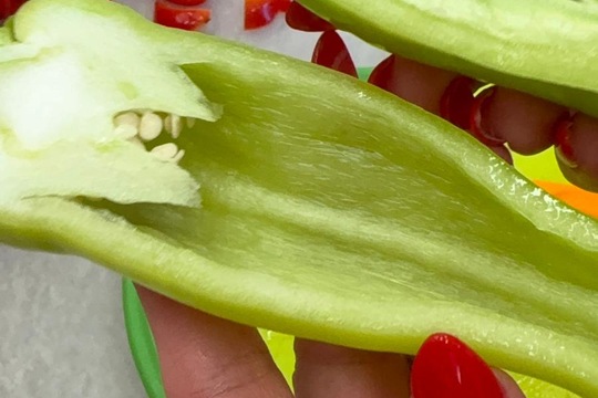 Paprika jako propojené aktivity  1