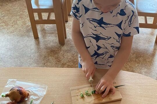 Cibule - Kytičky 1