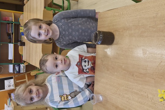 Sázení semínek  1