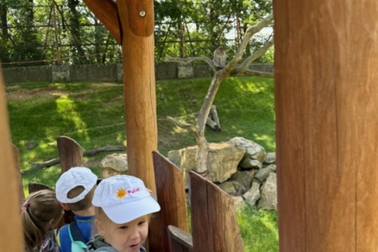 MŠ Sluníčko na výletě - Zoopark Chomutov 1