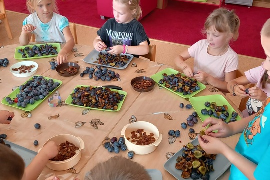 Podzimní sklizeň švestek  1