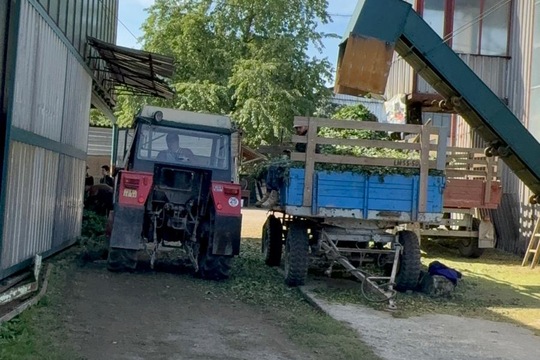Nám velmi blízká plodina Nám velmi blízká plodina 1