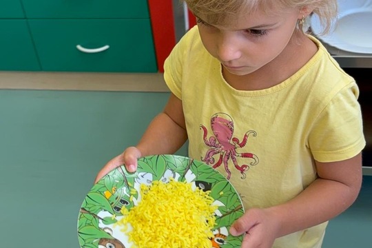 Dvě přílohy a možnost výběru  1