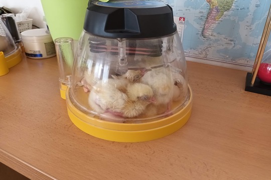 Líhneme ve školce 2 Líhneme ve školce 2 1