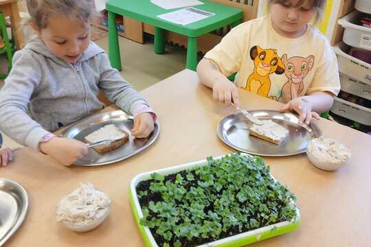 Microgreens 1