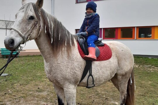 Svatý Martin přijel na koni 1