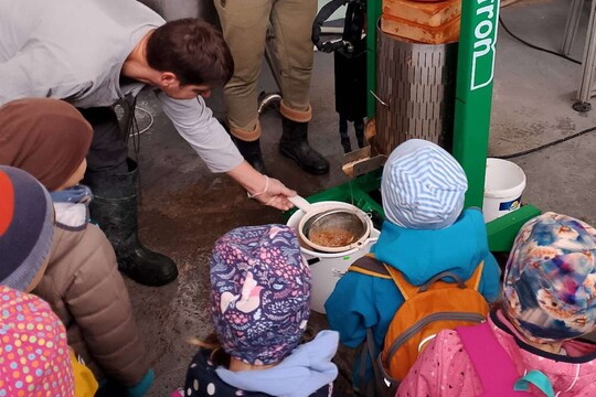 Jak se dělá mošt? Jak se dělá mošt? 1