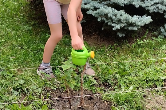 Staráme se o školkovou zahrádku 1
