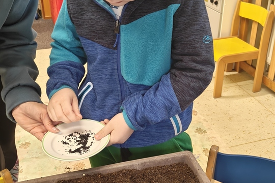 Bylinková radost v naší školce 1