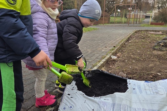 Berušky MŠ Kollárova - sázení kytiček 1