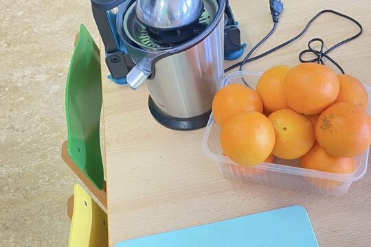 Džus z citrusů u Včeliček 1