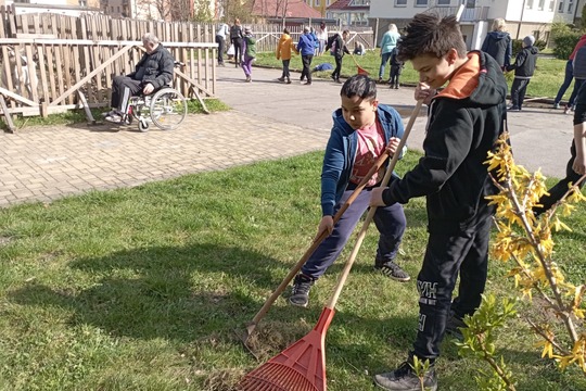Sázíme stromy, keře a byliny na školní zahradě 1