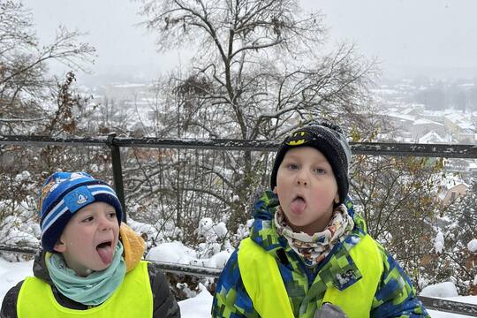 Sovičky z MŠ Dukelských hrdinů - Adventní kartičky Sněhová vločka na jazyku 1