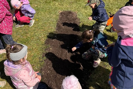 Jarní příprava záhonů 1