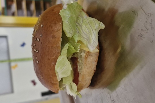 Hamburger  1