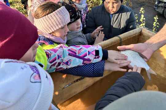 Výlov rybníka Výlov rybníka 1