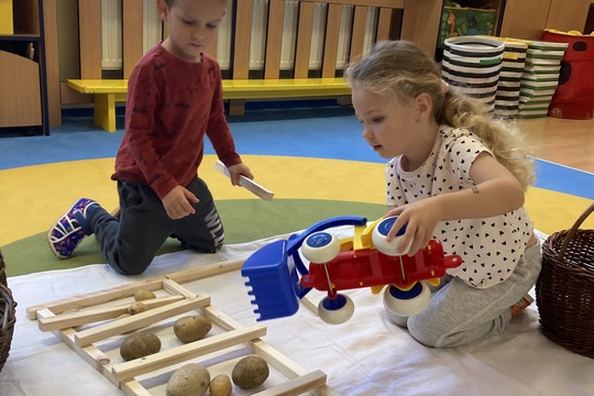 Brambory - Berušky 1