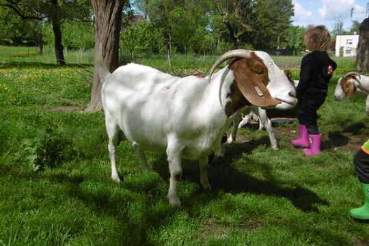 Na malinké rodinné farmě 1