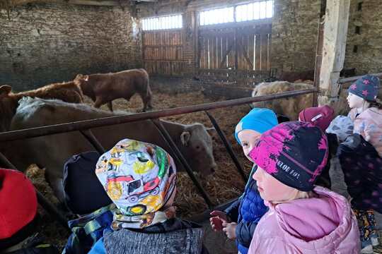 Cesta másla Cesta másla 1