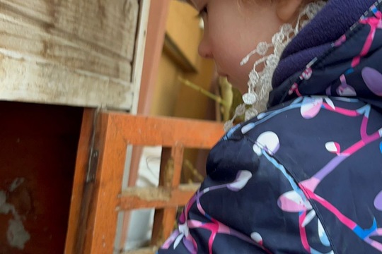 Naše zvířata - naše starost  1