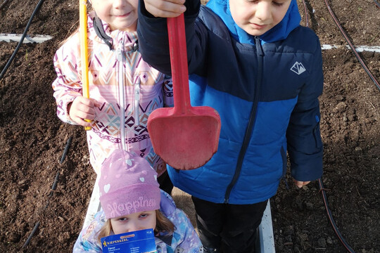 První sázení ve třídě Ferda Mravenec 1