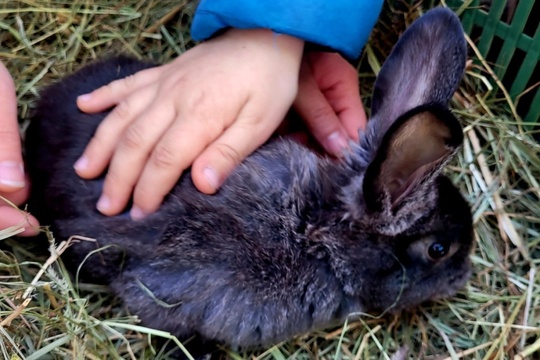 Poznáváme svět zvířat zblízka Poznáváme svět zvířat zblízka 1