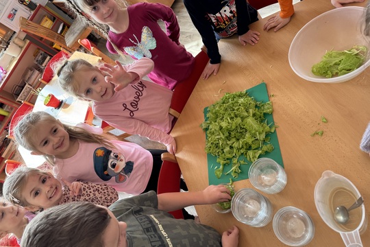 Motýlci z MŠ Kollárova - Sklizeň salátu 1