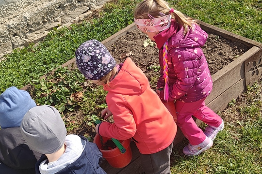 Bylinková radost v naší školce 1