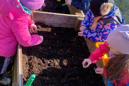 Sázení hrášku a cibule  1