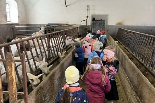 Třída Sluníček na výletě za poznáním i chutí Třída Sluníček na výletě za poznáním i chutí 1