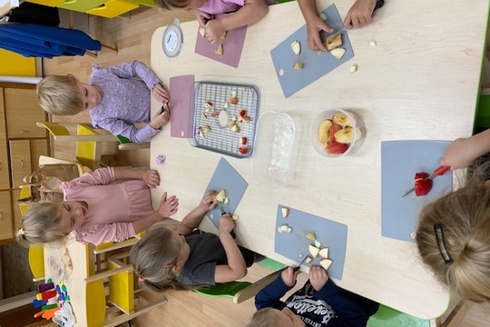 Sušení ovoce Sušení ovoce 1