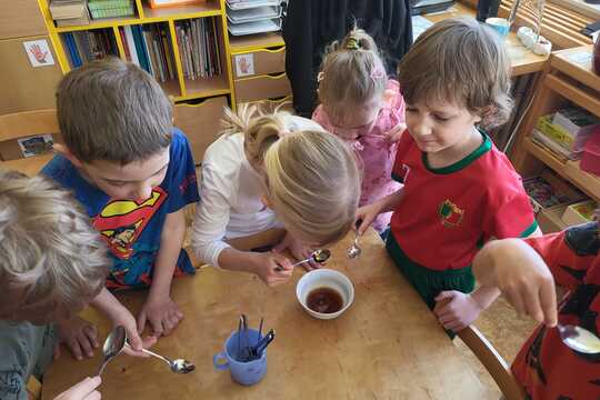 Pampeliškový med - Sluníčka 1