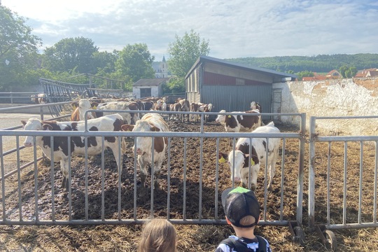 Výlet na rodinnou farmu 1