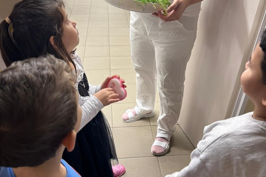 Třída Veverky - Kopr z hydroponické zahrádky 1