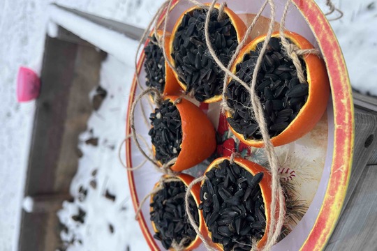 Zimní hodování: Pomerančová krmítka, která zdobí i chutnají 1