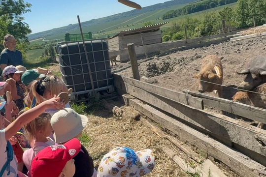 Farma a zvířátka  1