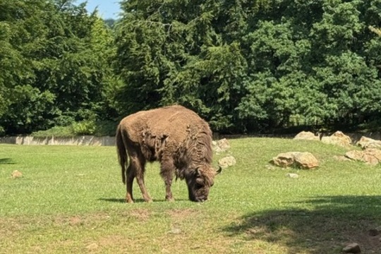 MŠ Sluníčko na výletě - Zoopark Chomutov 1