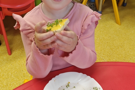 Bylinková radost v naší školce 1