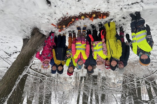 Dobroty pro zvířátka - Sluníčka 1