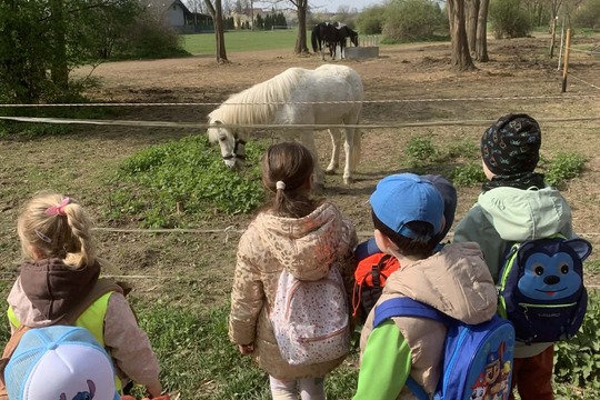 Výlet na farmu koní  1