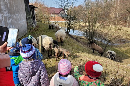 Za ovečkama  1