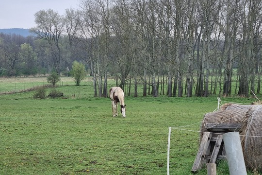 Ježečci z MŠ Soběchleby - Máme rádi zvířata  1