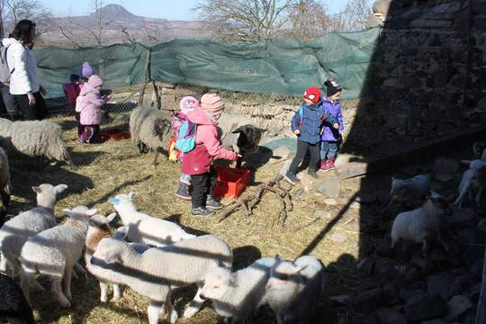 "Výlet na kozí a ovčí farmu" 1