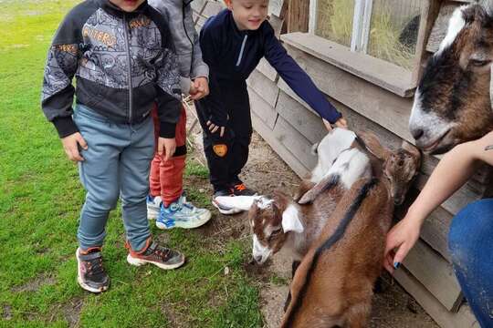Za telátky, kůzlaty a pilnými včelkami Za telátky, kůzlaty a pilnými včelkami 1